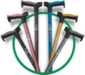 6 Appealing Colors