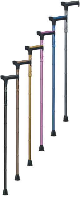 Hugo Folding Canes